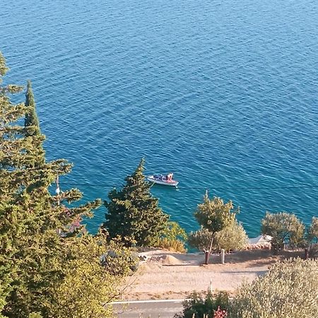 Apartment Mate Starigrad Paklenica Esterno foto